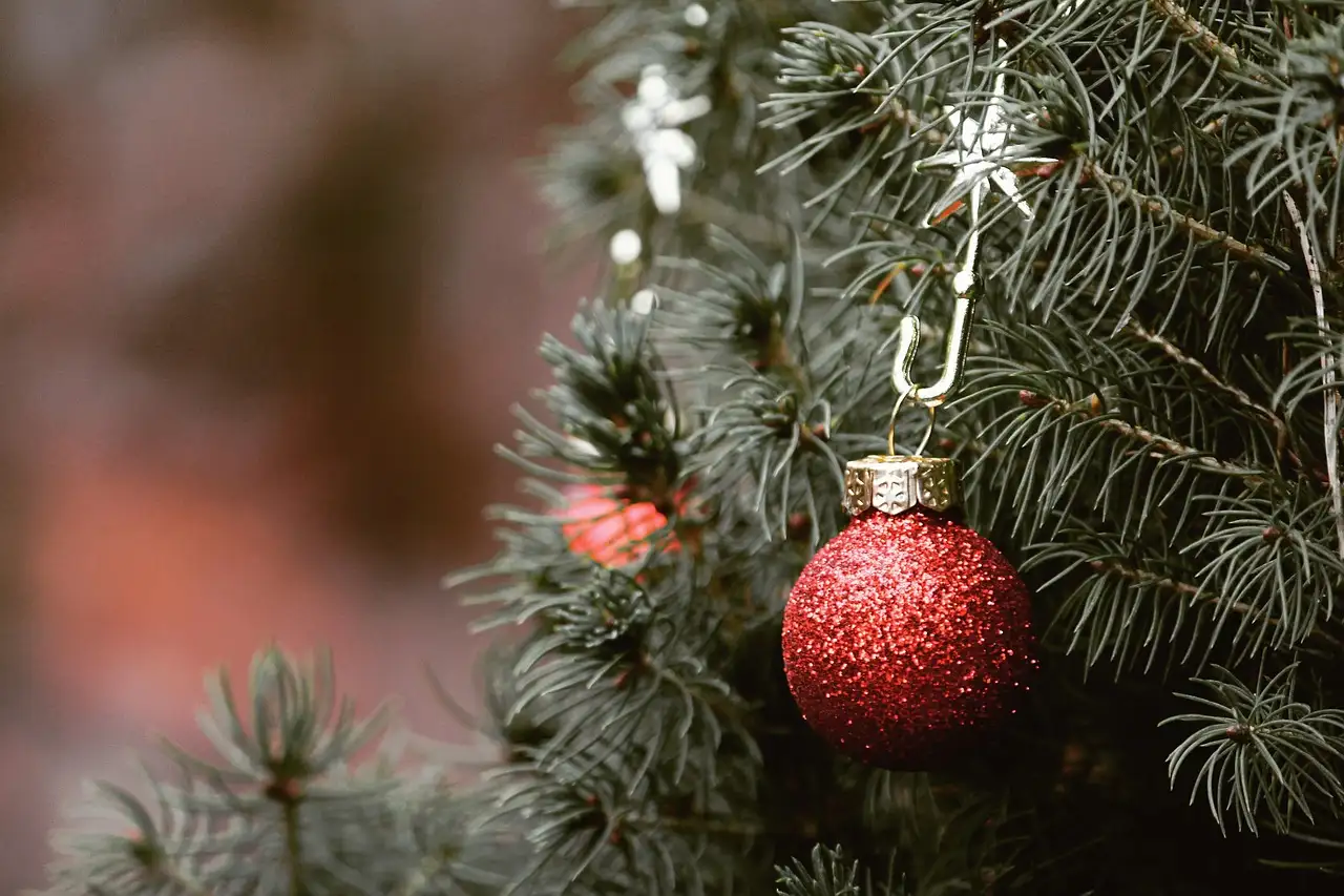 Kerstbal poes kopen? Leuke kat kerstballen voor in de boom